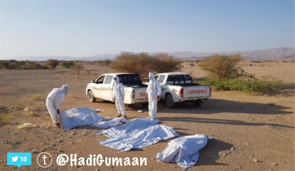 بوساطة محلية.. نجاح صفقة تبادل 12 جثة بين القوات الحكومية والحوثيين