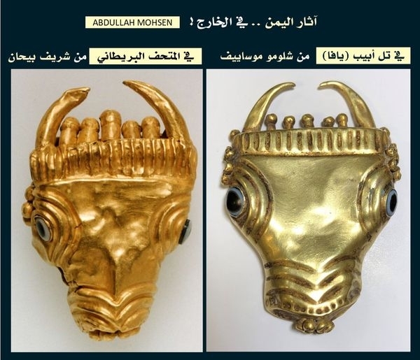 باحث يكشف عن عرض ثلاثة أثوار من الذهب الخالص في مزادات لندن وتل أبيب