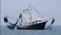 فقدان الاتصال بسفينة على متنها 12 شخصاً بالقرب من جزيرة سقطرى