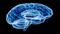 علماء الشيخوخة يكشفون عادات سيئة تدمر الدماغ.. ما هي؟