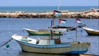 مقرر أممي: إنشاء ميناء مؤقت لغزة مسرحية أمريكية لن تمنع المجاعة